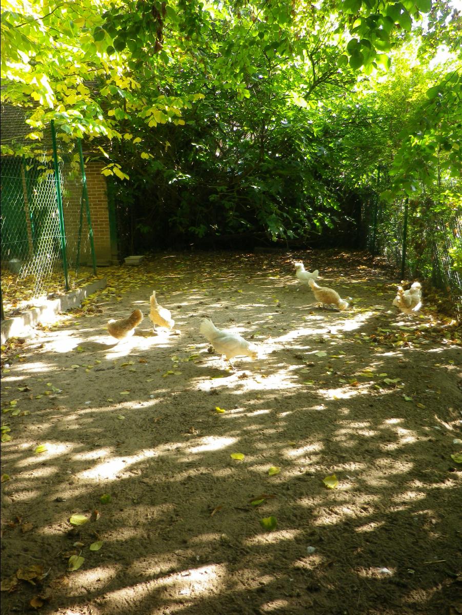 Maison et Jardine de Monet69